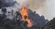 Coahuila: Pese a las lluvias, se reportan más incendios forestales en 2025