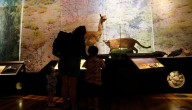 Noche de Museos ya tiene fecha: cuándo recorrerlos gratuitamente