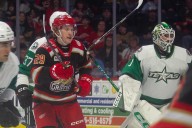 Five to watch as Red Wings, Stars prospects face
