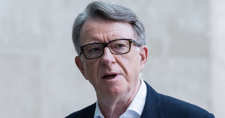 Mandelson told Epstein 'fight for early release' as he coached paedo through scandal