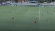 Insólito: avispas obligaron a suspender el Envigado vs. Millonarios de Copa BetPlay