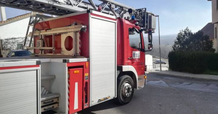 Una gran rama de árbol cae en el parque de la Charca de Carbajosa y moviliza a los bomberos