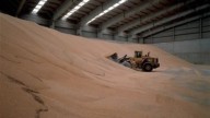 Graneros a rebosar: Aragón culmina una de las mejores cosechas de cereal de la última década