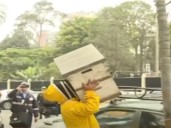 Jesús María: retiran colmena con más de 80 mil abejas tras ataque a joven