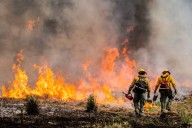 Two firefighters detained by ICE