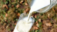 ¿Cuál es la leche que podría ser una imitación según Profeco?