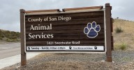 Animal shelter supervisor ‘out of the office’ after revelation of profane recording