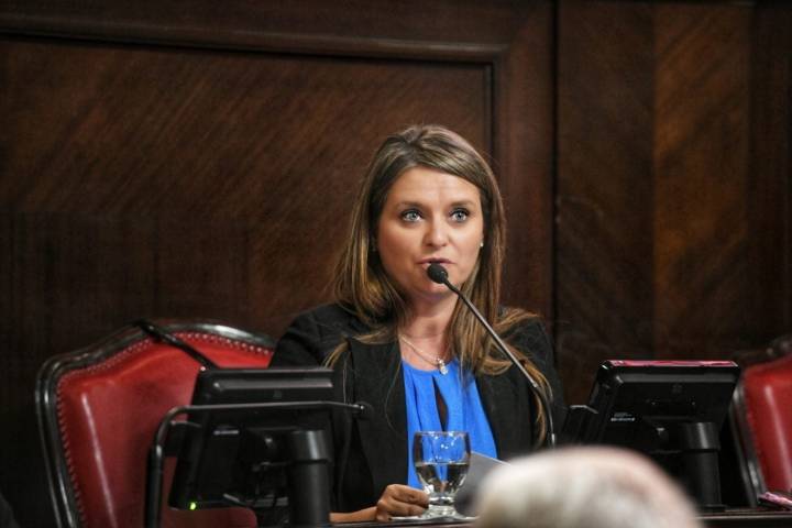 “La red federal de concesiones viales desestima al puerto bahiense”