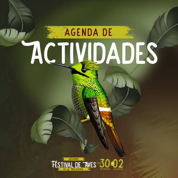 Meta vivirá el II Festival de Aves en La Macarena