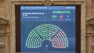 Contundente rechazo a los vetos de Milei: Diputados ratificó el financiamiento del…