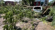 Missouri Dog Trapped In Tornado Rubble Is Saved By Heroes Who Refused To Give Up