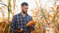 El seguro agropecuario, clave para dar previsibilidad al campo: la nueva propuesta de SANCOR SEGUROS para la campaña 2025/2026