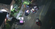 Los Angeles police investigating deadly hit