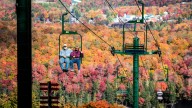 Is it the first day of fall? What to know about the autumnal equinox.