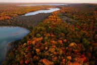Michigan fall colors 2025: See best county roads for scenic drives