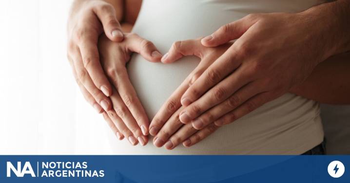 ANSES: ¿Cuándo cobro la Asignación por Embarazo de septiembre?