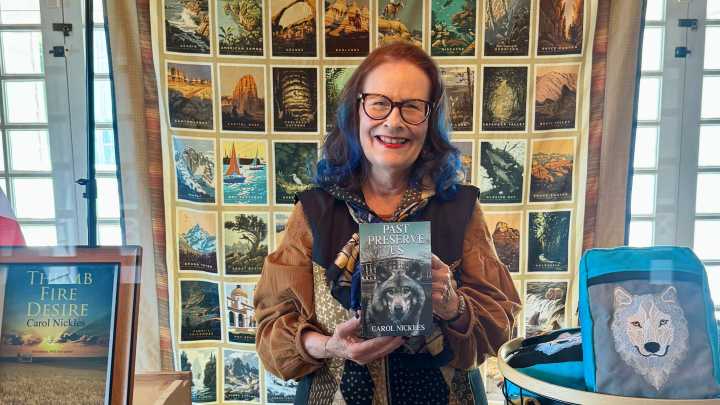 Port Huron native Carol Nickles brings hometown roots to latest novel