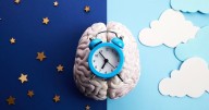 Ask Fuzzy: What causes the afternoon energy slump?