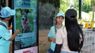 ¡La Perla superó la meta! Emotiva jornada de adopción de mascotas en «amor y amistad»