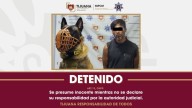 Con ayuda de unidad canina, detienen a adicto que amenazaba a su familiar con un cuchillo