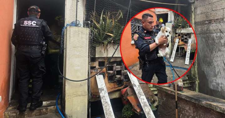 VIDEO: Policías de CDMX rescatan a dos perritos atrapados tras incendio y acaban intoxicados