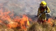 El Servicio Meteorológico Nacional emitió una alerta por el riesgo extremo de incendios forestales en 12 provincias