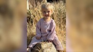 Family asks for support and forgiveness after toddler killed in Layton accident