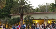 Fairchild Tropical Botanic Garden presenta “Sip & Stroll: Jazz Nights”