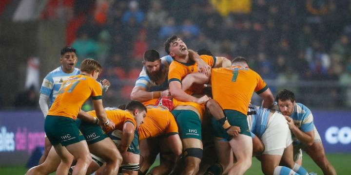 Los Pumas tendrán un partido de alto riesgo contra Australia por la 4ª fecha del Rugby Championship: hora, TV y formaciones