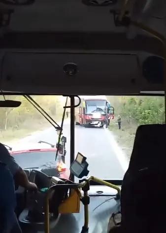 Un imprevisto en la Ruta 34: Colectivo embistió a un caballo en pleno viaje