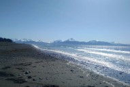 State issues alert for toxic shellfish found in Kachemak Bay