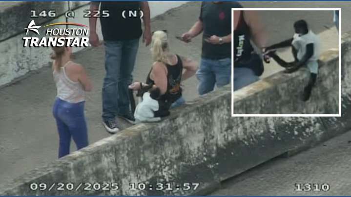 Monkey wearing clothes spotted on Highway 146 near Highway 225 in Harris County