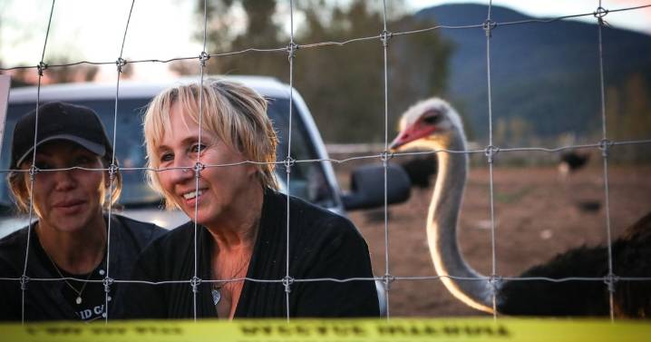 B.C. ostrich farm: Police investigate violent threats aimed at businesses