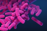 'Nightmare bacteria' cases are increasing in the US