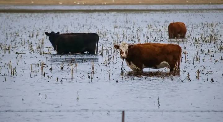 Protesta de productores en 9 de Julio: «se agotó la paciencia»