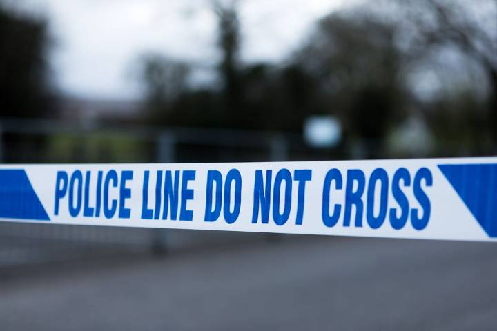 Mom of 5 Fatally Wounded After Throwing Chicken Nuggets with Pet Dogs