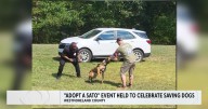 Westmoreland County dog rescue hosts reunion event