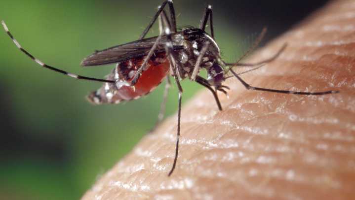 West Nile virus confirmed in Ontario County resident
