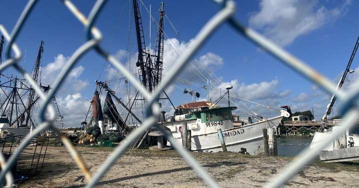 The Texas shrimping industry is on its deathbed. Will a new law help?