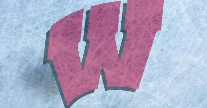 Badger men's hockey ranks 20th in preseason poll