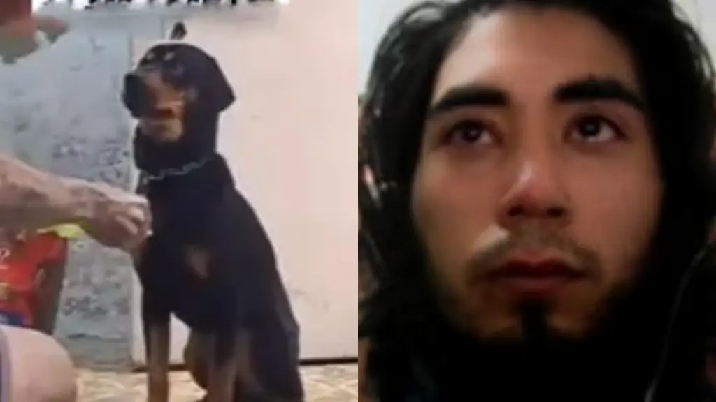 Hombre enviado a prisión tras ser señalado de acabar con la vida de su perro en una hoguera