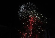 Bienestar Animal propone suspender pirotecnia en celebraciones oficiales