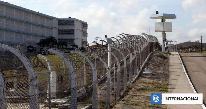 Más de 60 mil presos en Cuba son usados como mano de obra esclava, según ONG