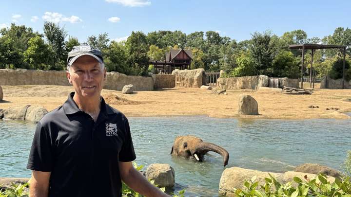 Cincinnati Zoo's Thane Maynard transitioning to new role