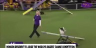 Monson resident to judge the world's biggest canine competition