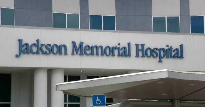 Eight-year-old boy airlifted to Jackson Memorial after shark bite off Key Largo, authorities say