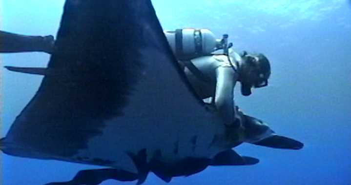 'The Last Dive' Director Talks Manta Rays