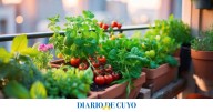 Armá tu huerta: las plantas que se cultivan en septiembre para cosechar en el verano