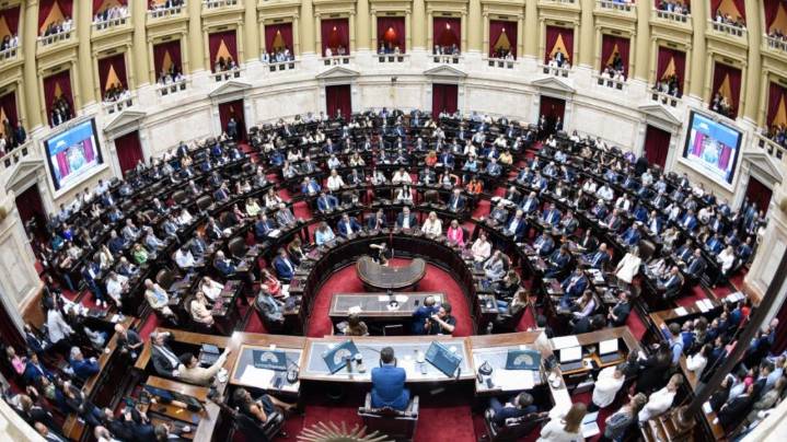 La oposición asegura el rechazo al veto al Garrahan pero sigue negociando el financiamiento universitario
