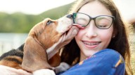 Tu perro no te chupa porque te quiera, la verdadera razón te va a dejar sin palabras: lo dice una experta